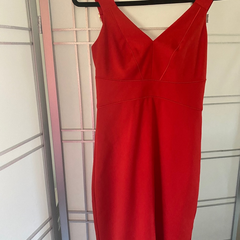 Ted Backer red dress. Brand new with tag - Picture 2 of 4
